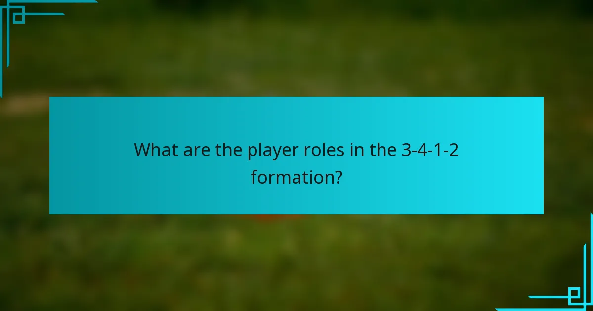 What are the player roles in the 3-4-1-2 formation?